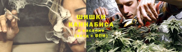 шишки Алзамай