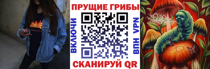 закладки  Татарск  MEGA tor  Псилоцибиновые грибы Psilocybine cubensis 