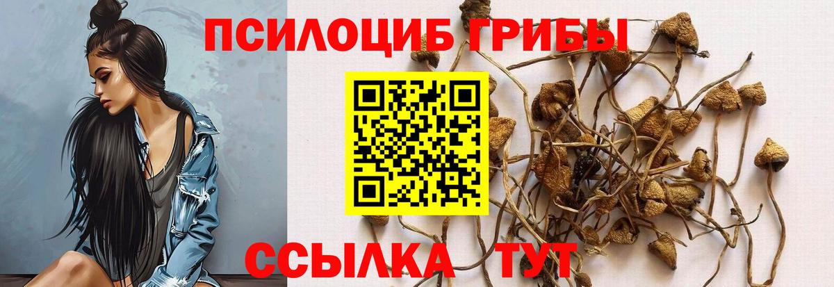 закладка  Вход с VPN  Татарск  Псилоцибиновые грибы мухоморы 