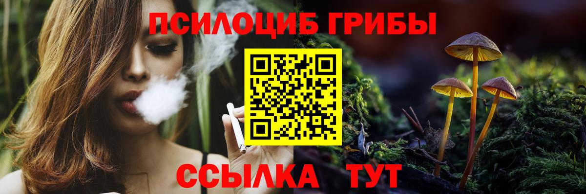 Галлюциногенные грибы MAGIC MUSHROOMS Татарск